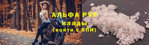 a pvp Абаза