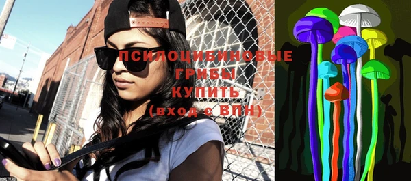 индика Абдулино